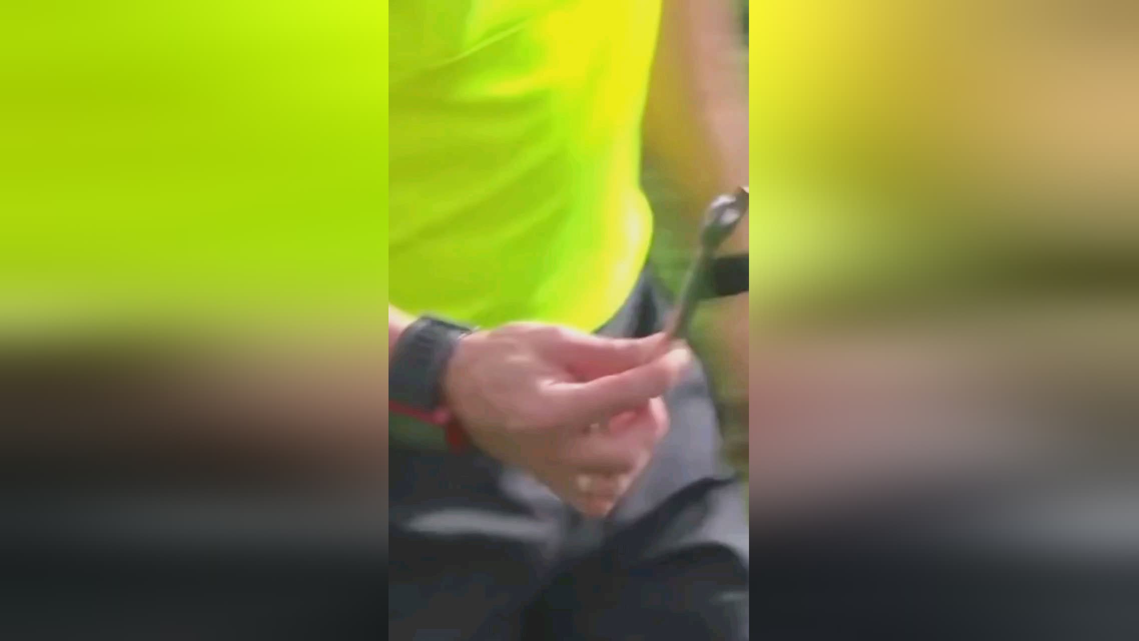 也成为